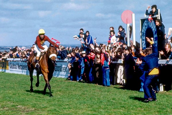 Red Rum 1977 Grand National