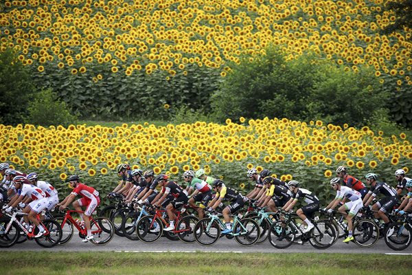 Le Tour de France 2017 Stage Eleven Peloton