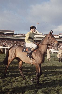 Pat Taaffe Arkle Hennesey Gold Cup Newbury 