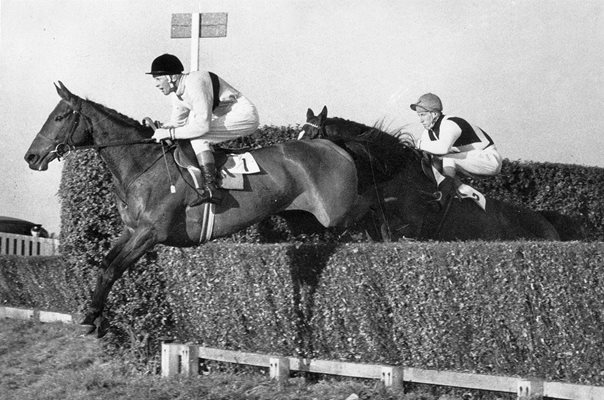 Arkle and Pat Taafe win Gallaher 1965