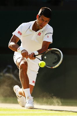 Novak Djokovic Serbia Wimbledon Final 2014