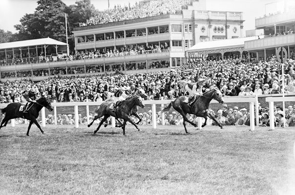 Right Boy, Red Sovereign and Capuchon Ascot 1959