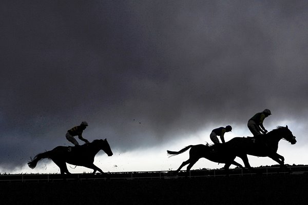 Leopardstown Races 2014