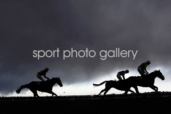 Leopardstown Races 2014