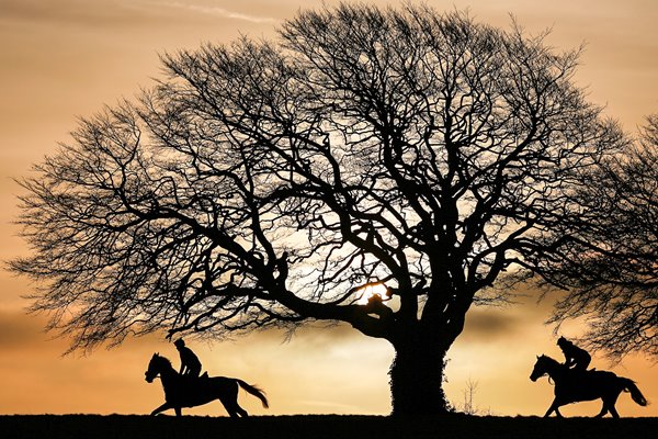 Lambourn Gallops