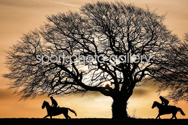  Lambourn Gallops