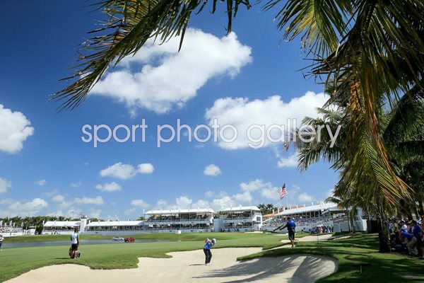 Patrick Reed World Golf Championships 2015