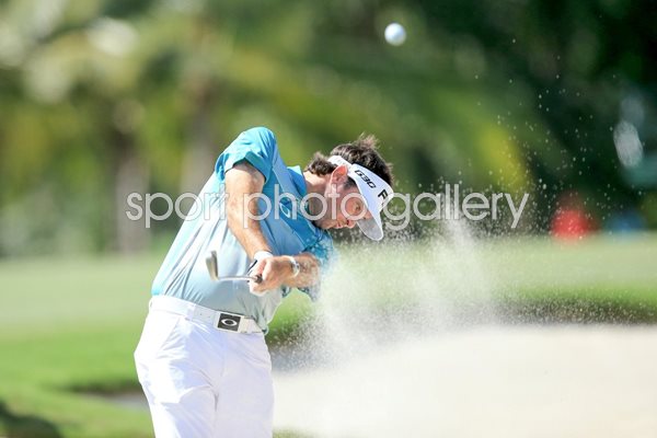 Bubba Watson World Golf Championships 2015