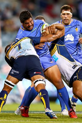 Pekahou Cowan Force v Brumbies 2015