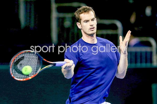 Andy Murray GB v USA Davis Cup 2015