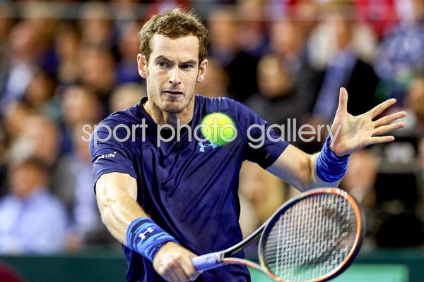 Andy Murray GB v USA Davis Cup 2015