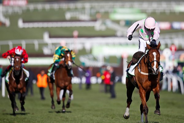 Ruby Walsh & Faugheen Hurdle Cheltenham 2015