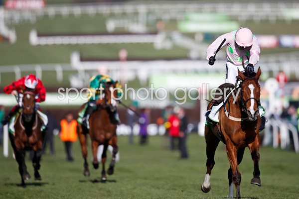 Ruby Walsh & Faugheen Hurdle Cheltenham 2015