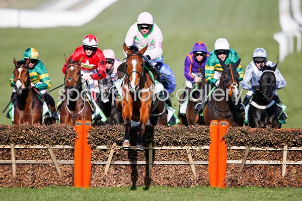Ruby Walsh & Faugheen Hurdle Cheltenham 2015