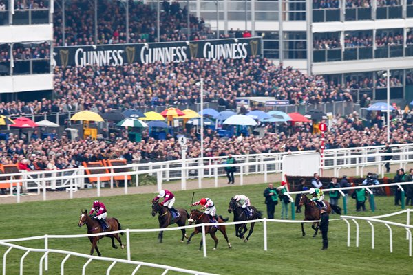 Cheltenham Festival Ladies Day 2015