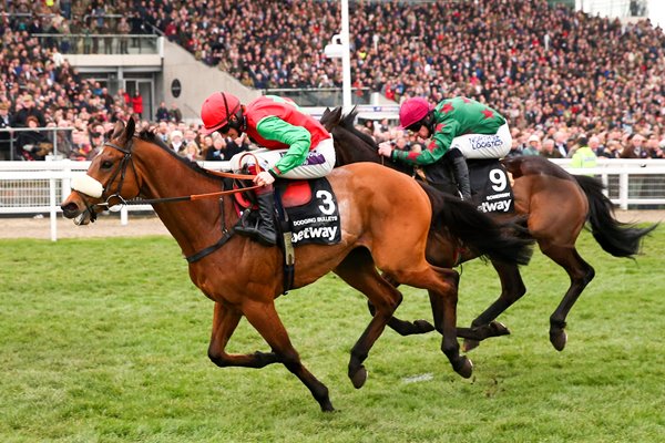 Sam Twiston-Davies & Dodging Bullets Steeple Chase