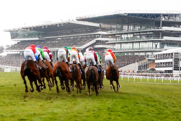 2015 Cheltenham Festival St Patrick's Thursday