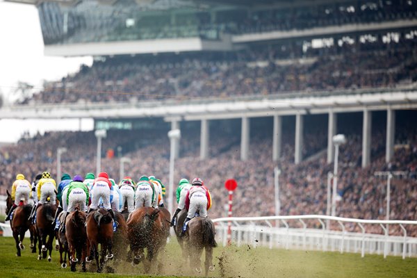 2015 Cheltenham Festival queen mother chase