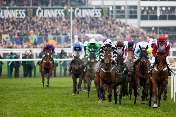 Cheltenham Gold Cup 2015