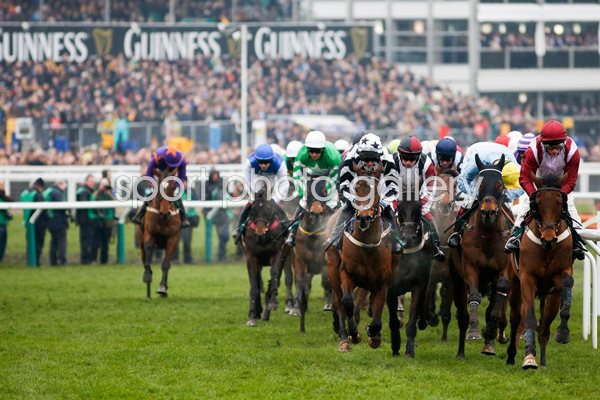 Cheltenham Gold Cup 2015