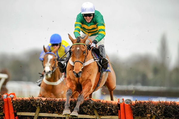 Tony Mccoy Binocular Kempton Races 2011