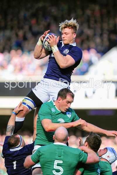 David Denton Scotland v Ireland Murrayfield Six Nations 2015