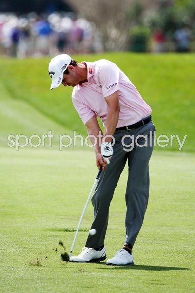 Harris English Arnold Palmer Invitational 2015