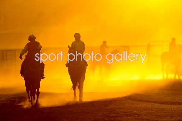 Melbourne Trackwork Session 2014