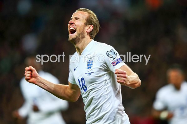 Harry Kane celebrates debut goal for England