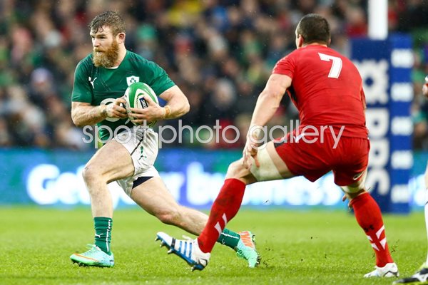 Gordon D'Arcy Ireland v Wales Six Nations Dublin 2014