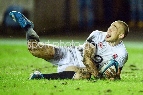 Mike Brown Scotland v England 2014