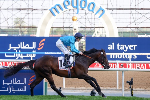 Brown Panther Richard Kingscote Dubai World Cup 2015