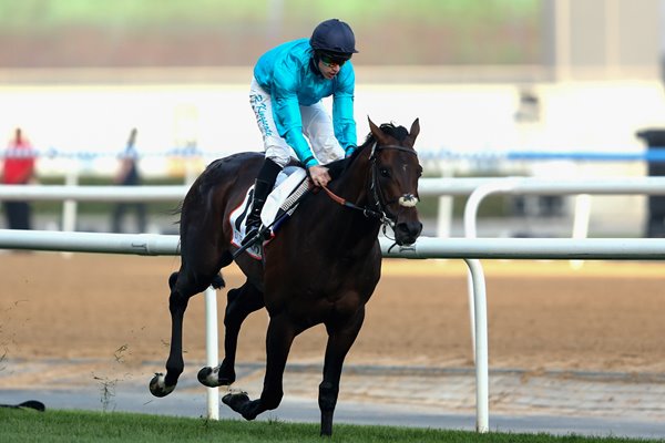 Brown Panther Richard Kingscote Dubai World Cup 2015