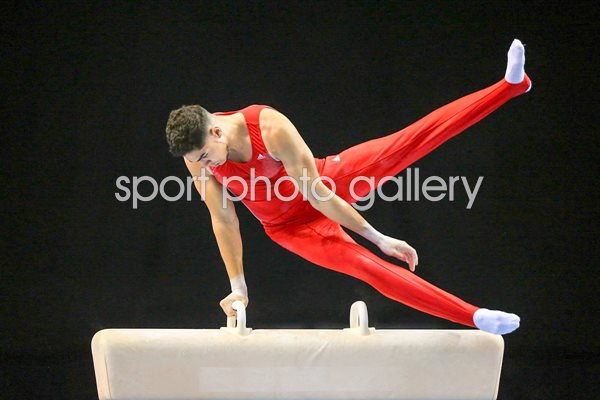 Louis Smith Artistic British Championships 2015 