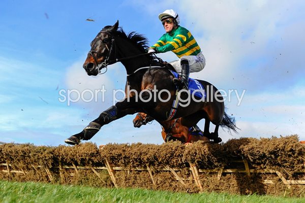 Tony McCoy  Leopardstown Races 2014