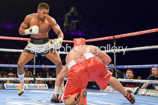 Anthony Joshua Metro Radio Arena in Newcastle 2015