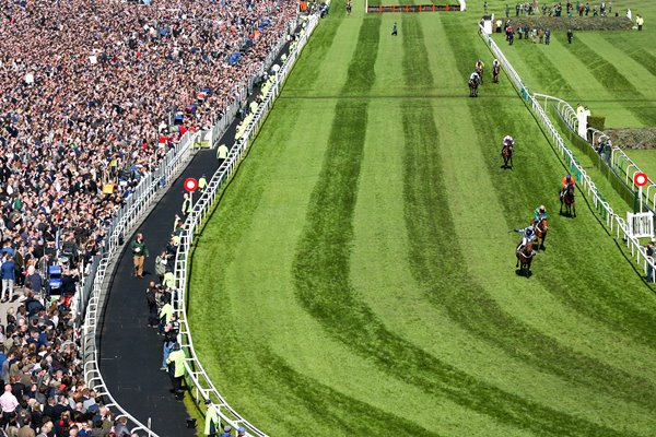 Grand National 2015