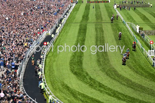 Grand National 2015