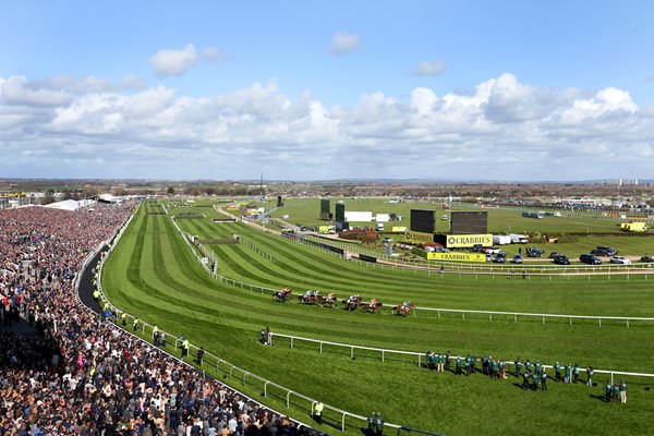  Grand National 2015