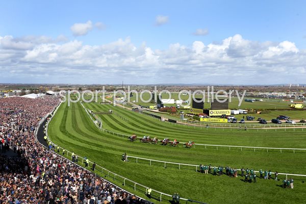  Grand National 2015