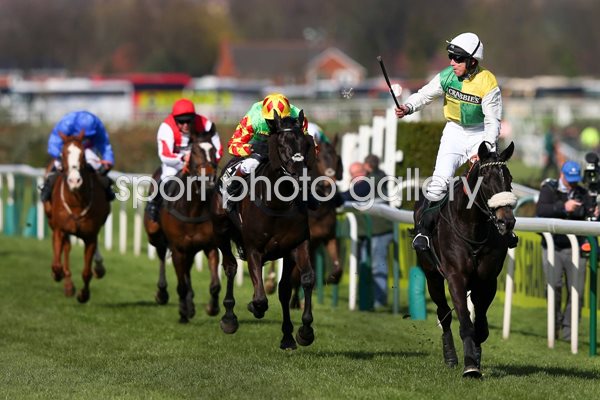 Many Clouds Grand National 2015