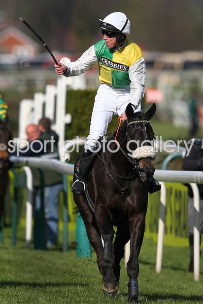 Many Clouds Crabbie's Grand National 2015