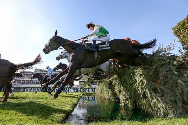 Many Clouds Grand National 2015