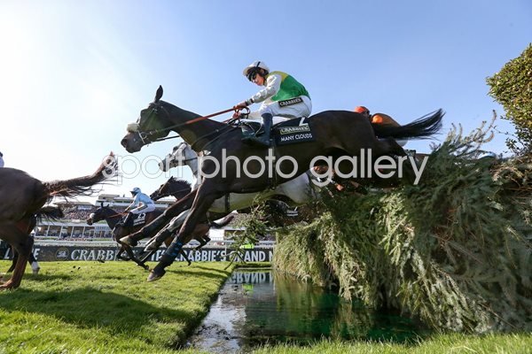 Many Clouds Grand National 2015