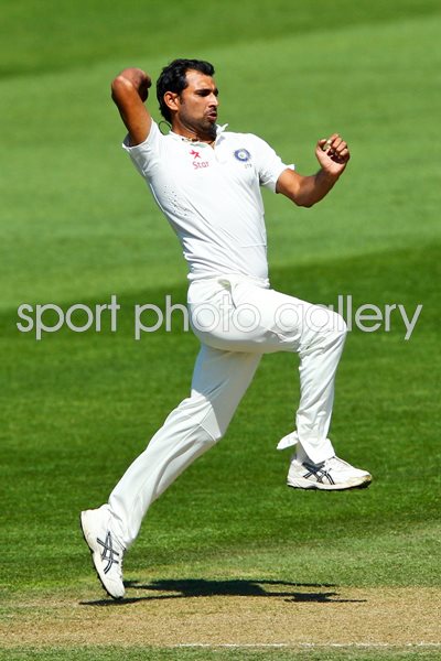 Mohammed Shami India v New Zealand Wellington 2014