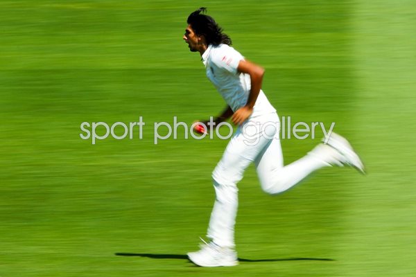 Ishant Sharma India v New Zealand Wellington 2014