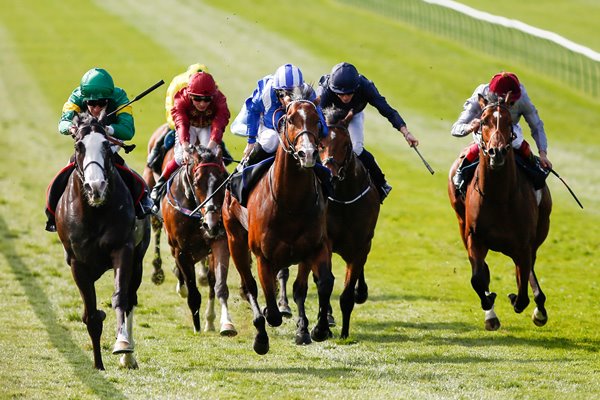 Newmarket Races 2015