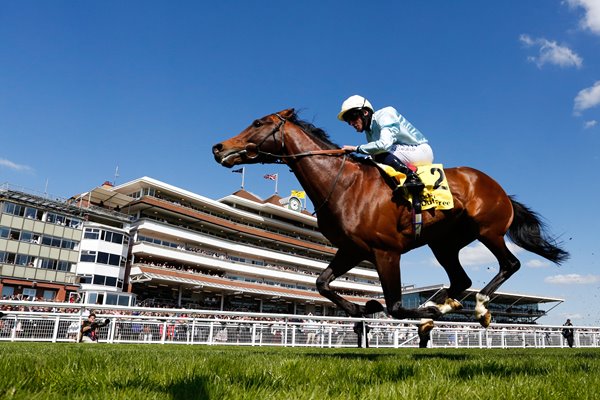 Ryan Moore Newbury Races 2015