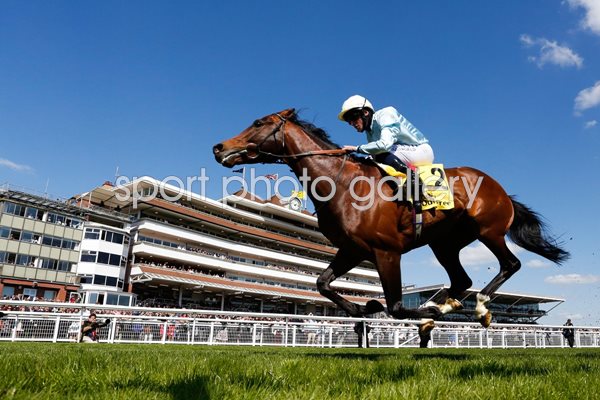 Ryan Moore Newbury Races 2015