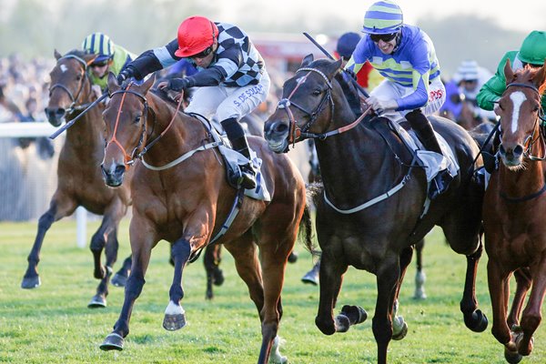 Windsor Races 2015